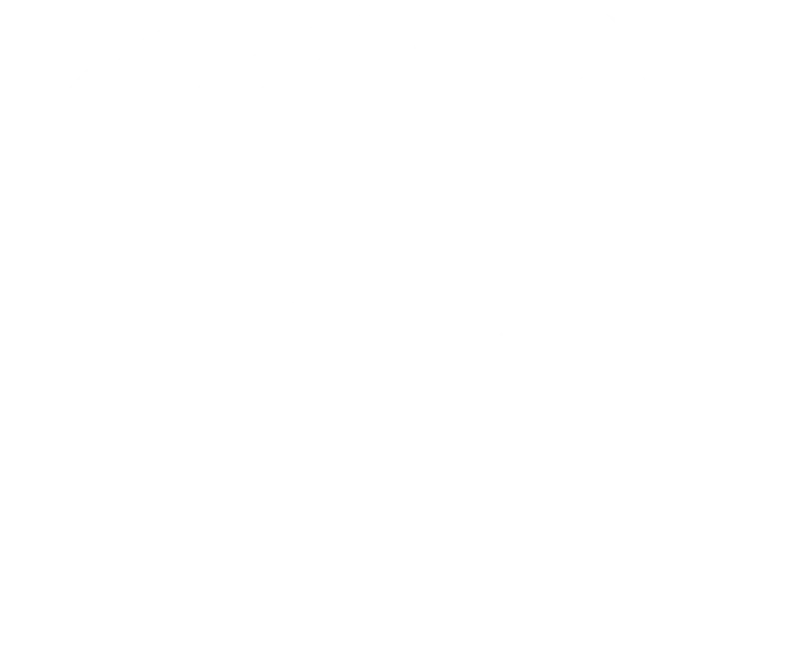 UNSF Logo White